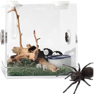 Generic Scatola per ragni che saltano, terrario per rettili, recinzione per allevamento di rettili, scatola per habitat in acrilico con design di alimentazione, terrario per allevamento di ragni per