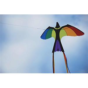 Wolkenstürmer Bonny Bird