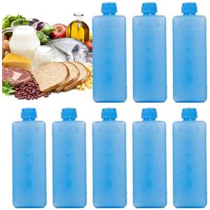 Naqqios Ice Crystal Cooling Box - Set di ghiaccio refrigerante da 11,5 x 4 cm, kit di blocco refrigerante per congelatore, controllo della temperatura del frigorifero, accessorio portatile per cibo e