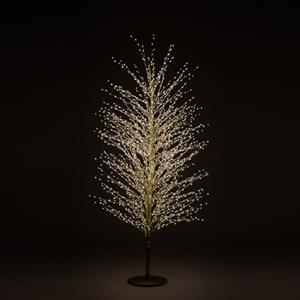 GIODICART Albero Faggio con 1500 Mini Led Luce Calda Altezza 150 cm Tronco e Rami Colore Oro