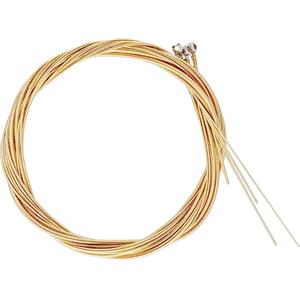 JOINPAYA Set 1 di Corde per Basso Elettrico in Acciaio al Carbonio e Ottone Facile Installazione Portatile per Sostituzione Corde Basso Acustico