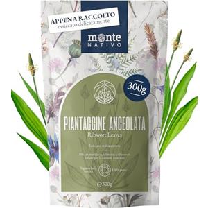 Monte Nativo Tè di Piantaggine Monte Nativo (300g) - Erbe aromatiche senza additivi - Infusi e tisane per la tazza di tè più deliziosa - Raccolte ed Essiccate Delicatamente - Herbal Tea