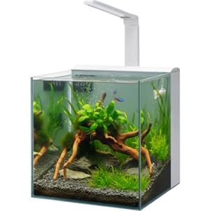 AQPET Acquario Completo Kubic Rear 30x30x30 cm in Vetro Extrachiaro - Con Filtro Posteriore Integrato e Lampada LED - Vasca Cubica Design Moderno (Colore Bianco)