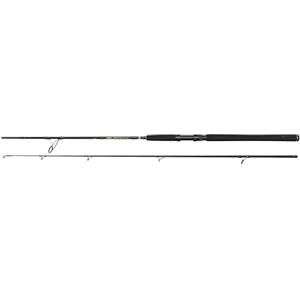PENNA Penn Wrath Ii Canna da Spinning, per la Pesca con Esche Metalliche, Dure o Morbide, Spigola, Pesce, Merluzzo e Altro, Assortito, 2.44 m, 15-40 g