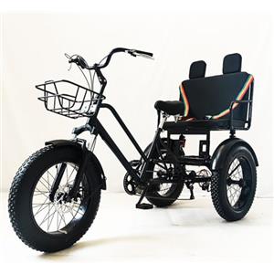 BoluDukNN Bicicletta Con Pneumatici Larghi, Bici Da Carico a 3 Ruote per Adulti, Mountain Bike Da 20'' a 7 Velocità,Tricicli Da Palestra Con Cestino E Sedile Posteriore,Picnic per Le Vacanze