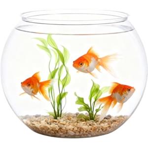 Generico Per Pesci A Bolle - Contenitore Per Acquario Trasparente Da 18x16 Cm, Serbatoio Infrangibile, Display Decorativo Per L'acqua, Materiale ABS Resistente | Elegante Centrotavola Per L'all