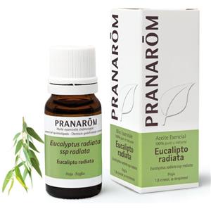 Pranarom Olio Essenziale di Eucalipto Radiata Bio 10 ml - Chemiotipizzato, Soluzione Orale e Diffusione