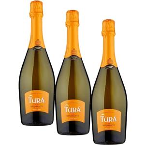 Lamberti Turà Spumante Bianco Extra Dry - 750 ml (Confezione da 3)