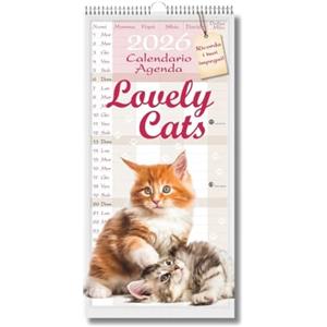 EURO PUBLISHING Calendario Agenda cuccioli di gatto 2026 - cm 22x44