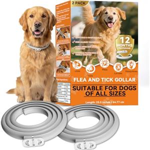 HuakChai Collare Antiparassitario per Cani - Protezione 8 Mesi contro Pulci, Zecche e Zanzare - Impermeabile e Regolabile, Lunghezza 65 cm per Cani di Taglia Piccola, Media e Grande (2PCS)