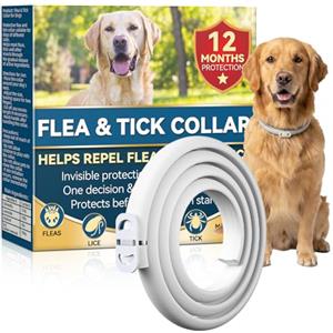 Auensten Collare Antiparassitario per Cani 65cm con Oli Essenziali di Citronella e Lavanda, Collare Antipulci Cane Naturale contro Pulci e Zecche, Adatto per Cani di Media e Grande Taglia