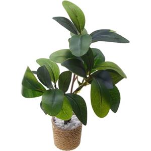 Generisch Piante in miniatura per bambole - Modelli realistici in vaso verde in 1:12 | Set bonsai artificiale per giardino delle fate, fai da te, casa delle bambole, panca da cucina
