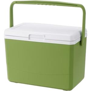 Monwssoe Piccolo frigorifero portatile, piccolo frigorifero portatile da 3 litri con 6 borse del ghiaccio, per bevande con maniglia, verde