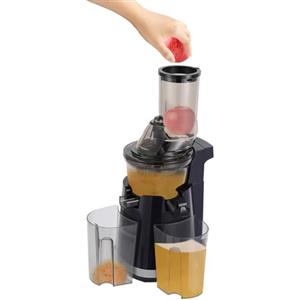 Chensyo Slow Juicer 250 W spremiagrumi elettrico, spremiagrumi compatto, adatto per pezzi interi di frutta e verdura, facile da pulire, dotato di 2 bicchieri di vetro da 800 ml