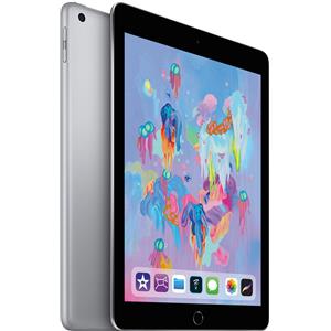 APPLE iPad 9.7 (2018) Wi-Fi + Cellular 32GB Grigio siderale Buono