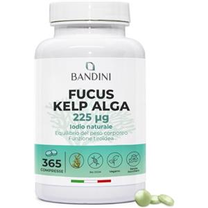 Bandini® Fucus Kelp Algae (Iodio Naturale 225mcg), 365 Compresse (Copertura 1 anno) 100% Vegane, Alga Bruna Titolata allo 0,1% in Iodio, Stimola il Metabolismo Energetico, Unghie, Capelli, Benessere