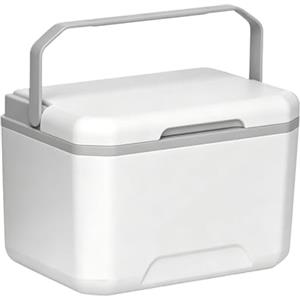 Generico Cooler | 5L A Tenuta Stagna, Portatile, Isolato Con Maniglia - Box Frigo Rigido - Per Campeggio Picnic Pesca Barca Escursionismo Barbecue Spiaggia Viaggio Tailgating Viaggi In Auto