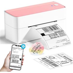 Phomemo Stampante per etichette Bluetooth, PM241BT stampante termica DHL 4XL per Mac/PC, stampante Bluetooth per codici a barre, Amazon, Etsy, Shopify, Royal Mail, DHL, FedEx, UPS