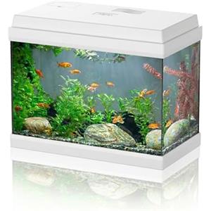 AQPET Acquario in Vetro per Pesci Tropicali Completo di Accessori Filtro Luce Simply, 30 39x22x30 cm 30 Litri, Bianco