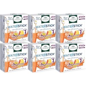 L'Angelica, Waterstick Brucia Grassi, Gusto Passion Fruit e Pesca, Con Moringa, Cola, Zero Zucceri, Zero Calorie, Vitamine, Minerali, 6 Astucci da 12 Stick