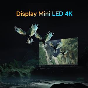 Xiaomi Xiaomi TV S Mini 2025 55 (3840 x 2160 ELA5666EU