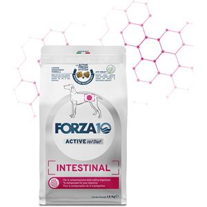 Forza 10 Intestinal Active - Alimento Secco per Cani Adulto, 10 kg, Monoprotein con Pesce