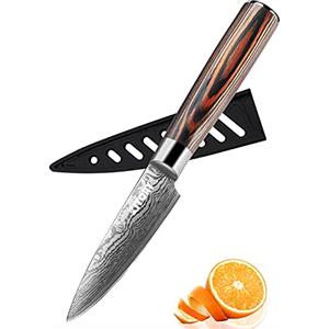 Kitory Coltello da Sbucciare 9 cm, Acciaio Inox Alto Carbonio Tedesco, Effetto Damasco Laser, Manico Pakkawood, Con Custodia e Scatola Regalo