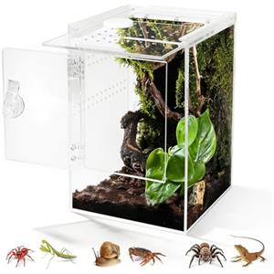 Biigdan Terrario, 360° Terrarium Acrilico - Teca per Rettili Trasparente | 20x20x30CM,Terrario Rettili per ragni, lumache, mantidi, lucertole, raganelle, paguri, coleotteri