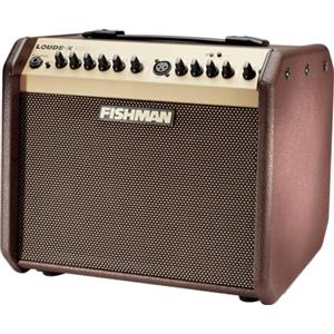 Fishman Loudbox Mini da 60 W, Amplificatore per chitarra acustica Bluetooth, Marrone e Oro