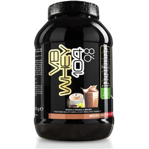 MOLDES Srl NET INTEGRATORI VB WHEY 104 9.8 MOKACCINO 900G