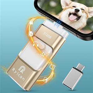 Ryican Chiavetta USB per Phone Ryican 512GB USB 3.0 Pendrive Dati Protetti da Password Photostick 4 in 1 Pennetta Memoria USB con Type C-Phone/OTG Android/PC/Laptop Backup Rapido con un Solo Clic(Oro)