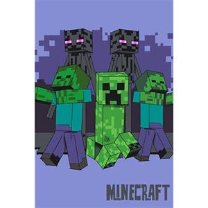 Jerry Fabrics Minecract - Coperta in pile super morbida, 100 x 150 cm, regalo per bambini, adolescenti e adulti