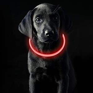 Coolzon Collare Luminoso Cani USB Ricaricabile Impermeabile con 3 Modalità Di Luce, Regolabile Collare LED per Cani Gatti Taglia Piccola Media Grande, Rosso
