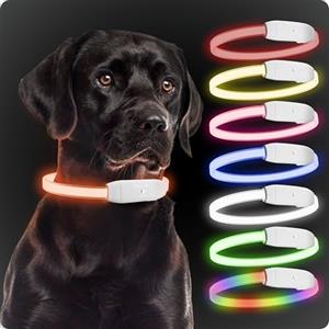 PAJ GPS PAJ LIGHT - Collare Luminoso ad Alta Visibilità Per Cani di Taglia Media/Grande - Lunghezza Regolabile Da 20 a 70cm - 100% Impermeabile - 7 Colori Diversi, Visibilità e Sicurezza