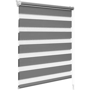 WOLTU Tenda a Rullo per interni Doppio Strato Giorno e Notte, Fissaggio a Morsetto Senza Foratura, Tenda Traslucida Oscurante per Finestra o Porta, 70x150 cm [Larghezza Tessuto: 66 cm], Grigio Scuro