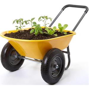 Garvee Carriola Da Giardino Doppia Ruota, Robusta in Ferro e Plastica, Carriola Multiuso Per Casa Giardino Lavori