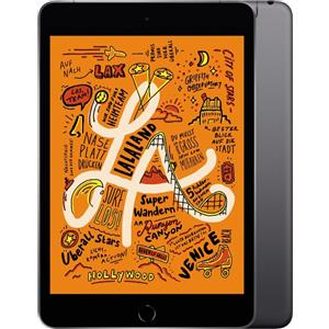 APPLE iPad Mini 5 (2019) Wi-Fi 64GB Grigio siderale Eccellente