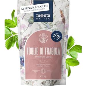 Monte Nativo Foglie di Fragola Monte Nativo (250g) - Tisana sfusa con foglie essiccate - Tè naturale di fragola - Infuso rinfrescante e salutare, rinfrescante e 100% puro e naturale