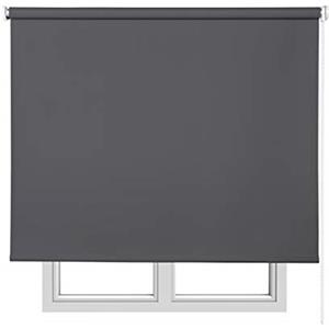 Estores Basic Tende a Rullo Oscuranti Premium, Tenda Oscurante per Massima Privacy con Facile Installazione a Soffitto o a Parete, Tenda Opaca per Soggiorno o Camera da Letto, STORESBASIC Grigio Chiaro 100x180