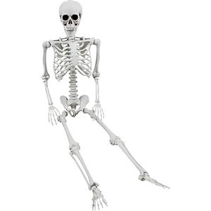 XONOR - Scheletro snodato per Halloween, 165 cm, scheletro umano realistico a grandezza naturale, articolazioni mobili, accessorio per Halloween e decorazione spaventosa per feste