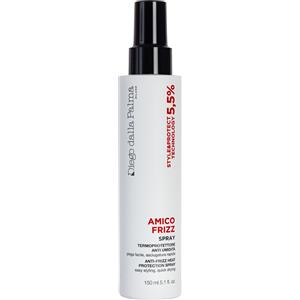 Diego Dalla Palma Amico Frizz - Spray Termoprotettore Anti Umidità 150ml, Protezione Calore Fino a 230°C, Acceleratore di Asciugatura