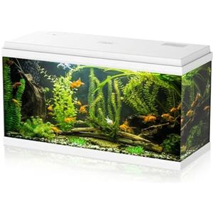 Aqpet Acquario in Vetro per Pesci tropicali Completo di Accessori Filtro Luce Simply, 100 80x32x47 cm 100 Litri, Bianco