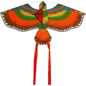 Generisch Eagle Kite - Aquilone con in famiglia, enorme aquilone leggero in tessuto non tessuto con canna in resina, per bambini, viaggi, sport, spiaggia, all'aperto, grande, 113 x 55 cm, 145 cm