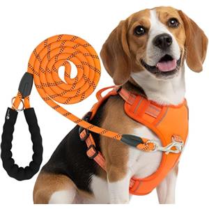 Reichstadt Pets Set pettorina per cani con guinzaglio - Pettorina regolabile anti-trazione, riflettente, imbottita, guinzaglio resistente, adatta per cani piccoli, medi e grandi Orange S
