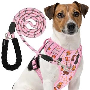 Reichstadt Pets Set pettorina per cani con guinzaglio - Pettorina regolabile anti-trazione, riflettente, imbottita, guinzaglio resistente, adatta per cani piccoli, medi e grandi Puppy Pink M