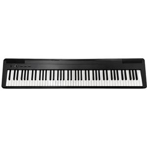 Echord EP-88 BLK - Pianoforte Digititale a 88 Tasti Pesati Hammer Action, Dinamica ON/OFF, Nero