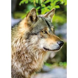 Nathan - Puzzle per adulti - Puzzle da 1000 pezzi - Lupo grigio europeo - Adulti e bambini a partire dai 14 anni - Puzzle di alta qualità - Misura perfetta - Collezione Wild Life - 12001146