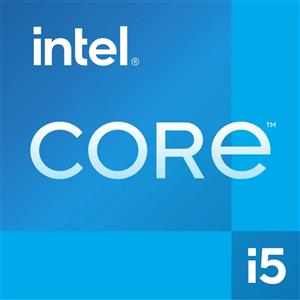 Intel Core i5 13400F - 2,5 GHz - 10 core - 16 - CM8071504821107