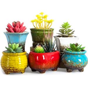 ARTKETTY Vasi per piante grasse, piccoli vasi per piante grasse con drenaggio, set di 6, vasi in ceramica per cactus per interni, contenitore unico per fiori per casa e ufficio