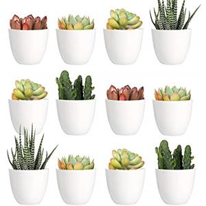 Youngever Confezione da 24 mini fioriere in plastica da 5 cm, vasi da fiori per interni, vaso da giardinaggio bianco con drenaggio, piante non incluse (moderne)